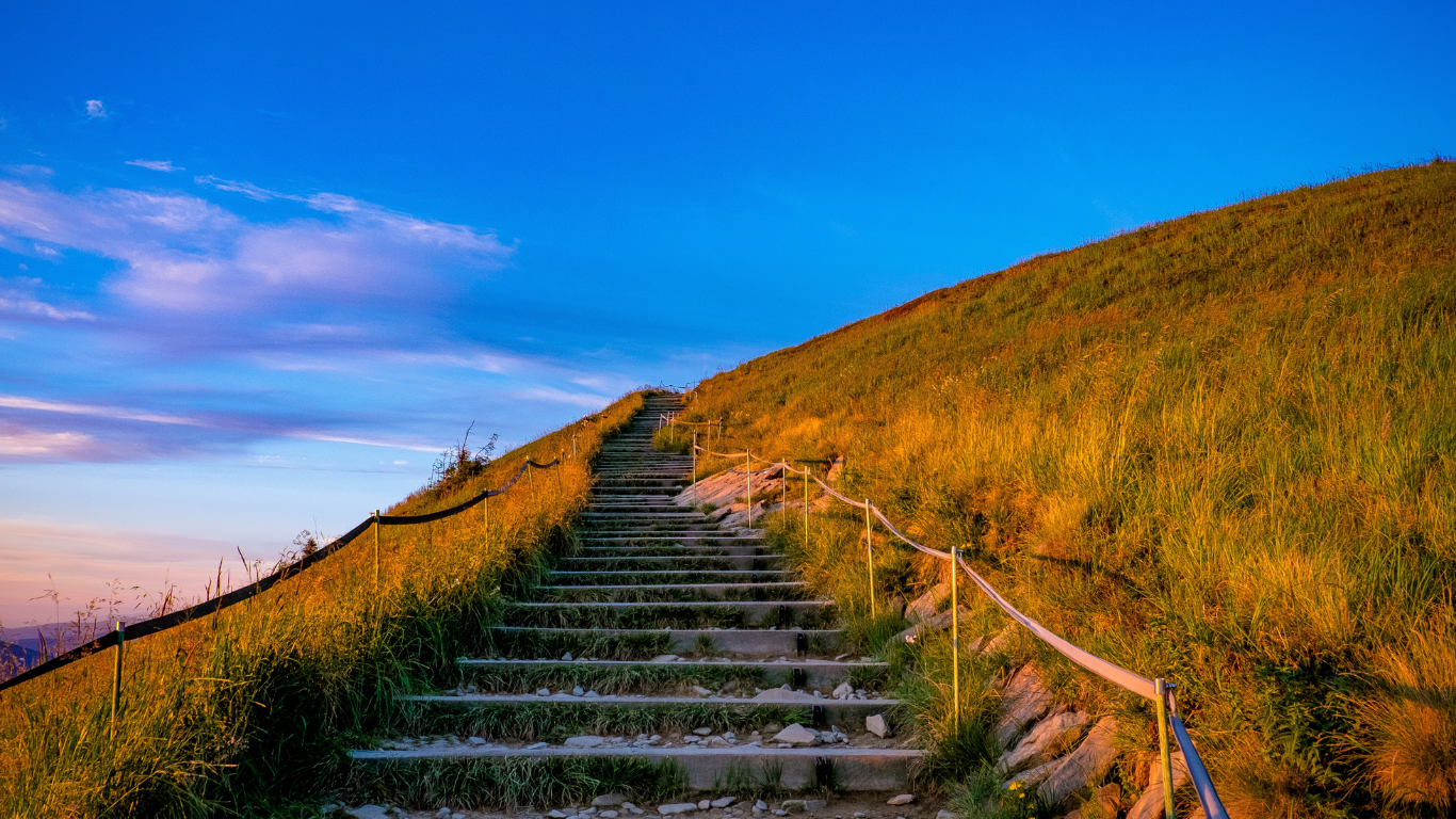 The Power of Boldly and Courageously Showing Up